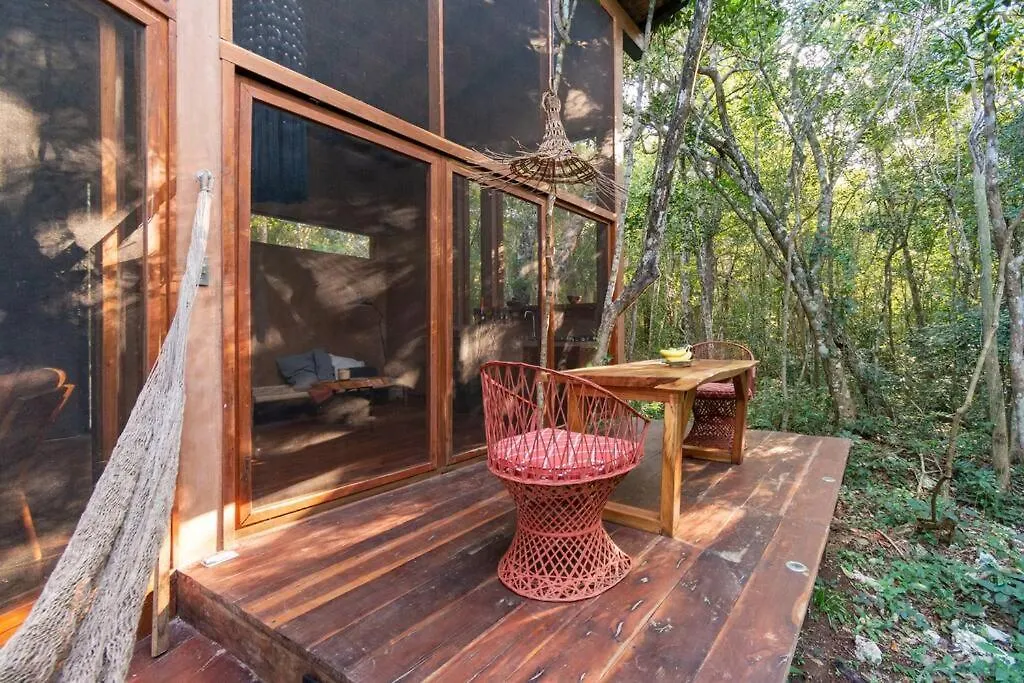 טולום Ojo De Agua. Design+Pool. Vive La Autentica Selva! מקסיקו