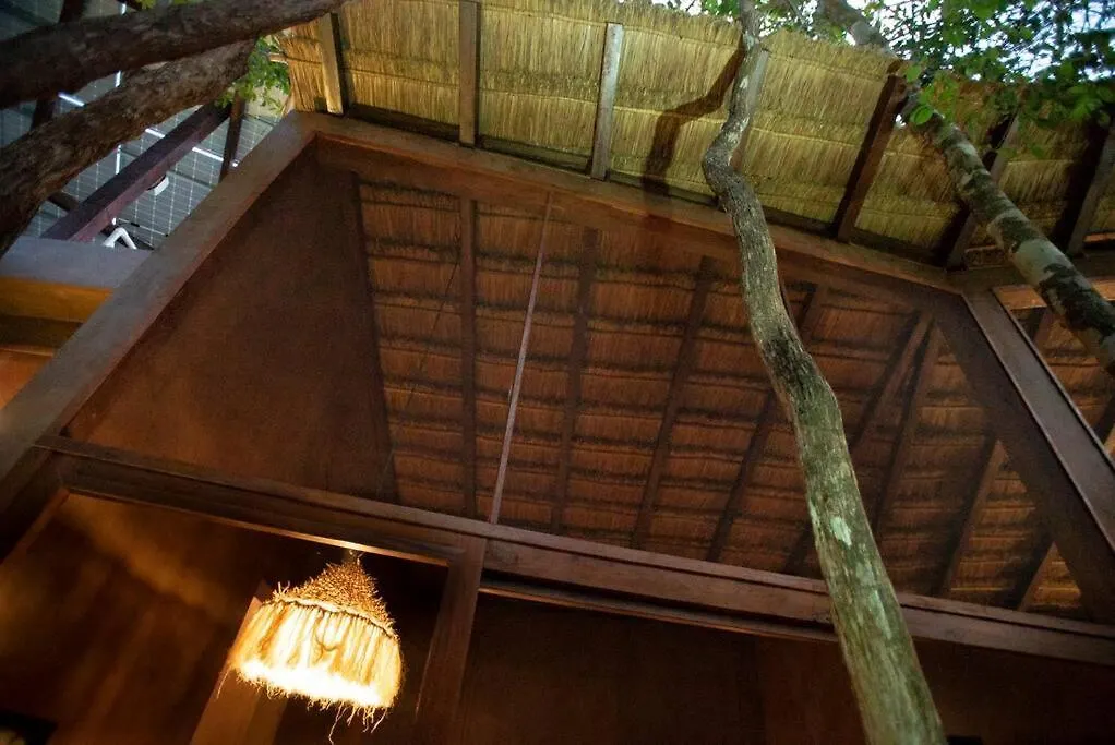 בית נופש טולום Ojo De Agua. Design+Pool. Vive La Autentica Selva! מקסיקו