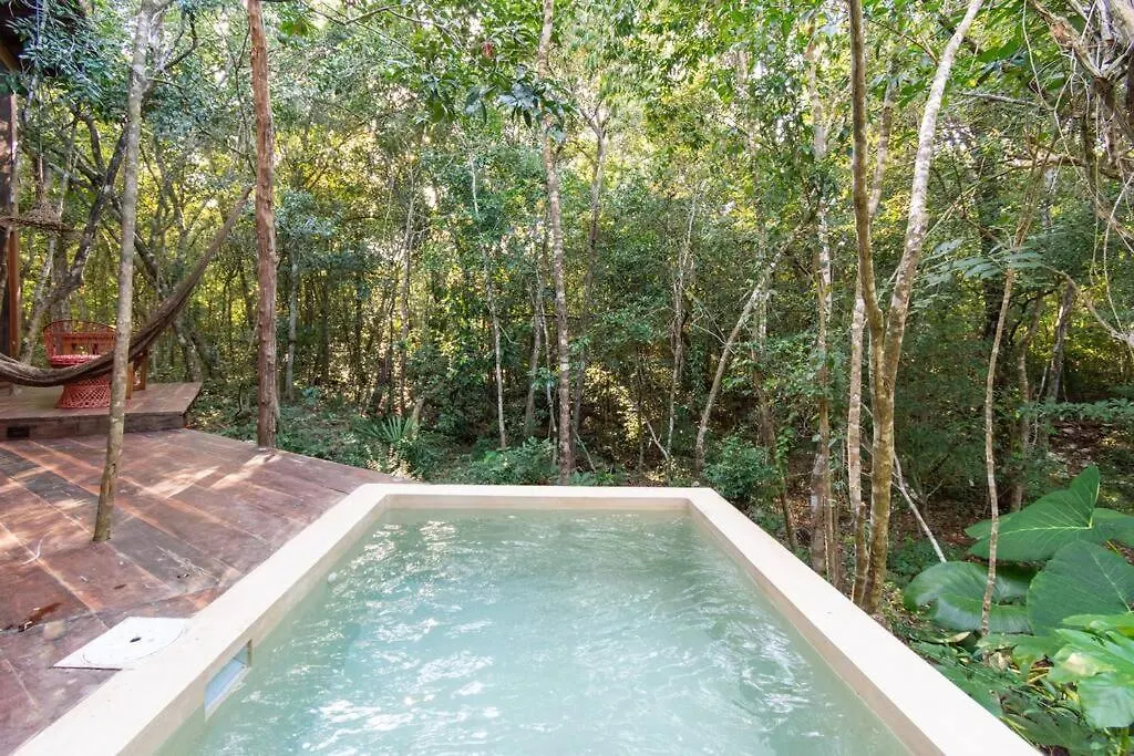 טולום Ojo De Agua. Design+Pool. Vive La Autentica Selva!