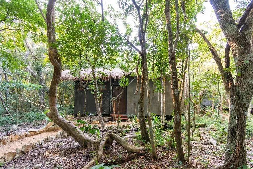 טולום Ojo De Agua. Design+Pool. Vive La Autentica Selva!